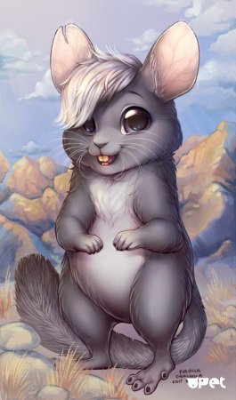 Мультяшные шиншиллы