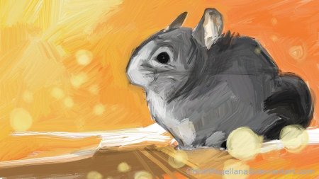 Шиншилла милый арт