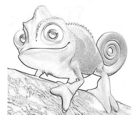 Хамелеон Паскаль раскраска