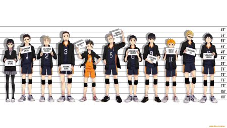 Команда Карасуно персонажи