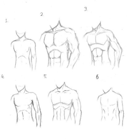 Мужской торс для рисования