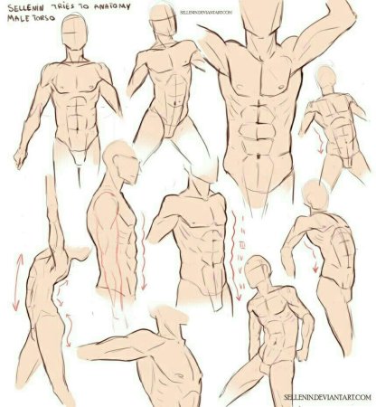 Мужское аниме тело сбоку референс