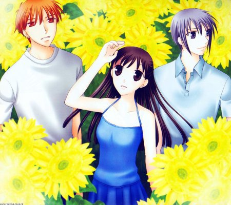 Корзинка фруктов аниме 1998