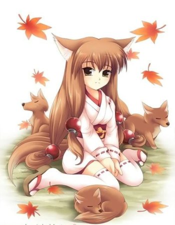 Кицуне Ямато Надешико