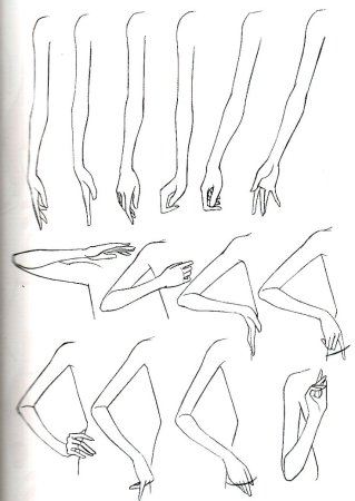 Референсы для рисования спины