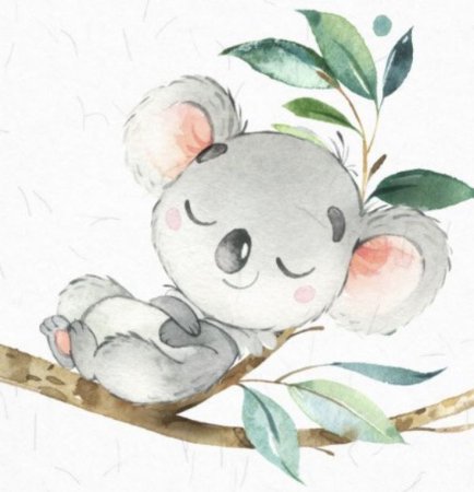 Коала аниме