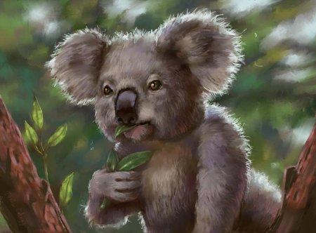 Naomi_Lord коала