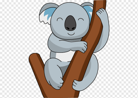 Коала Реджинальд