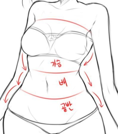 Женская грудь рисунок