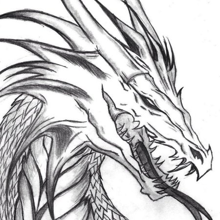 Эскизы для срисовки