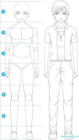 Схема рисования человека аниме