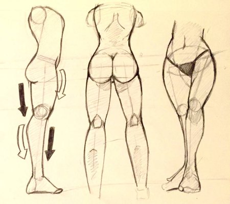 Ягодицы аниме для рисования
