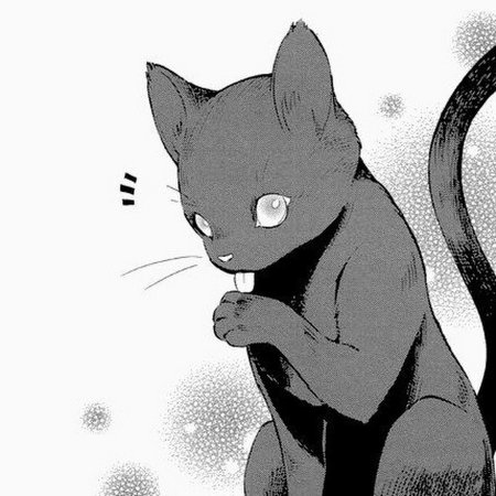 Коты из манги