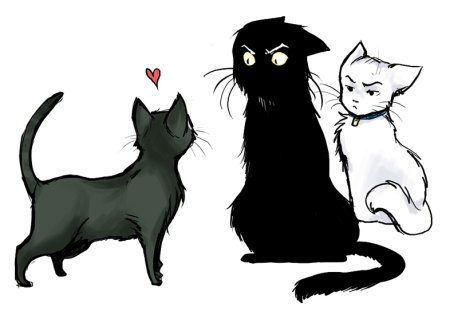 Черный и белый кот арт