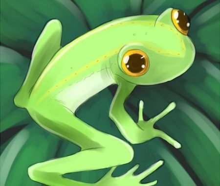 Няшная лягушка