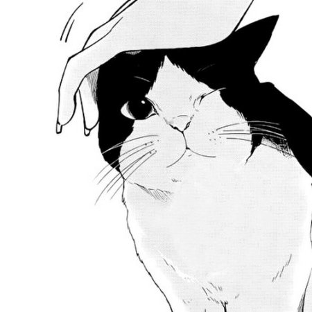 Черно белая кошка арт