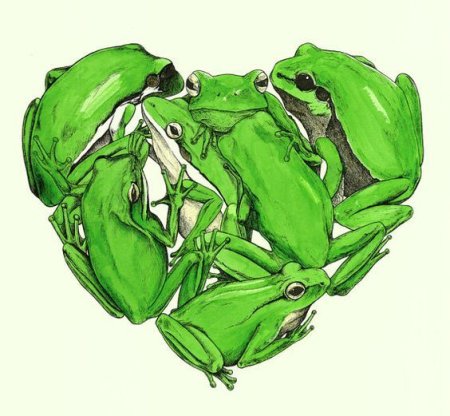 Эстетика лягушек в аниме