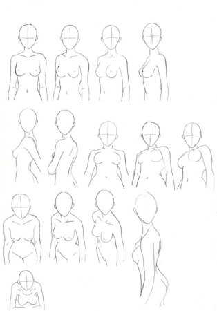 Анатомия человека для рисования манги