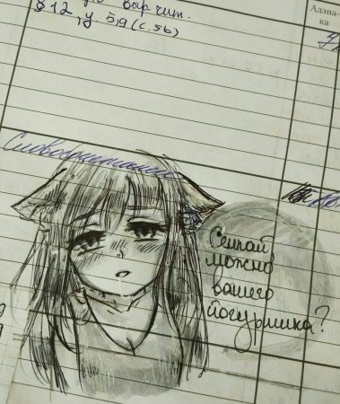 Дневник с аниме для школы