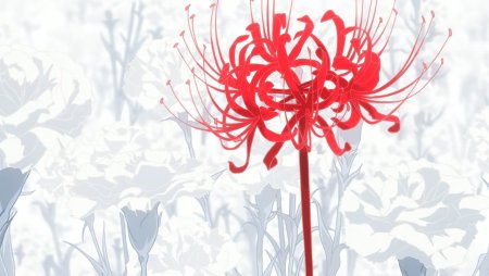 Ликорис цветок Токийский гуль