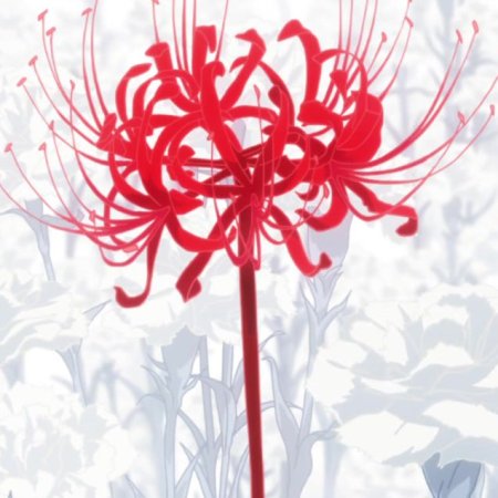 Хиганбана ликорис Токийский гуль