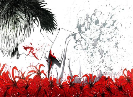 Токийский ликорис