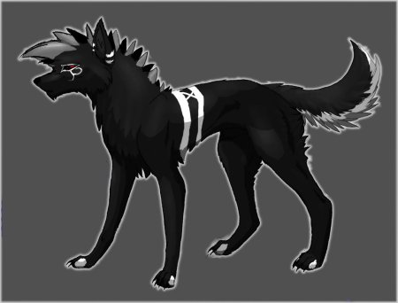 Волки Воители чёрный волк