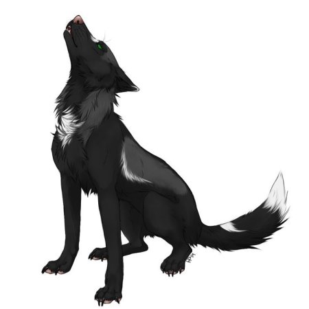 Черная собака аниме