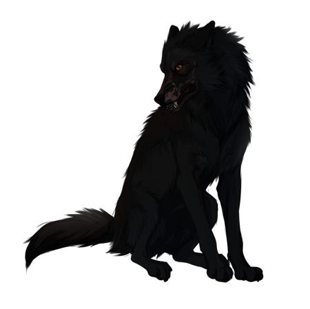 Блэк Вульф волк