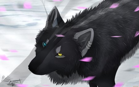 Аниме волки чёрные с голубыми глазами