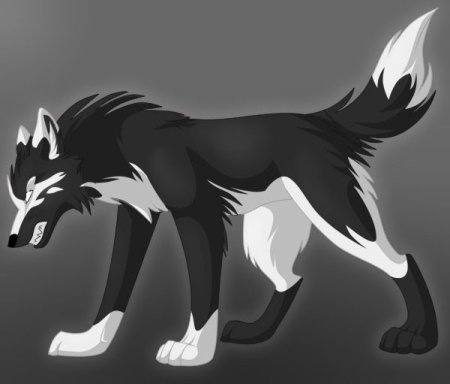 Волки Воители и коты Воители