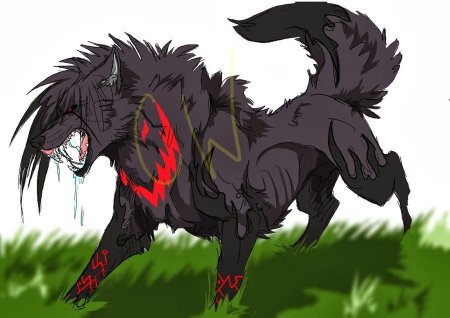 Zero Blackfire волк