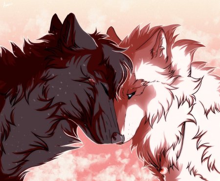 Волки аниме
