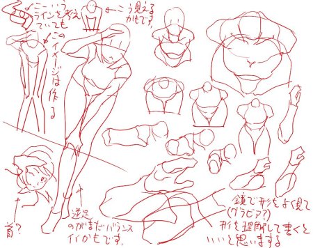 Реыференсы анатомия аниме