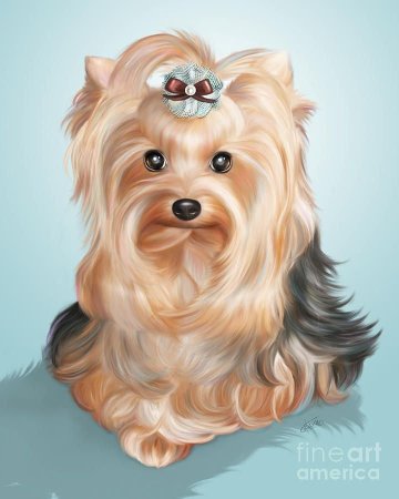 Йоркширский терьер нарисова