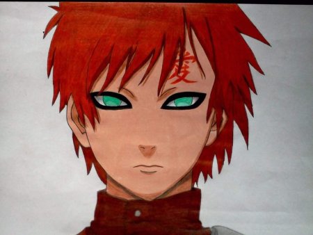 Кот сейлормун черный