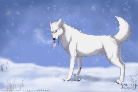 Волчий дождь Киба волк