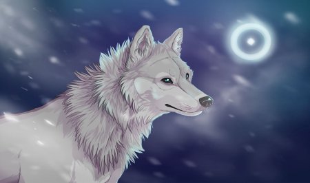 Белый волк аниме