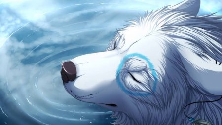 Белый волк аниме