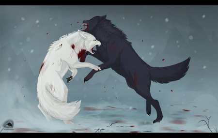 Волчий дождь волки битва