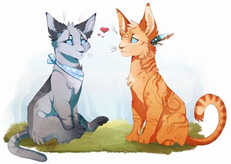 Коты Воители аниме