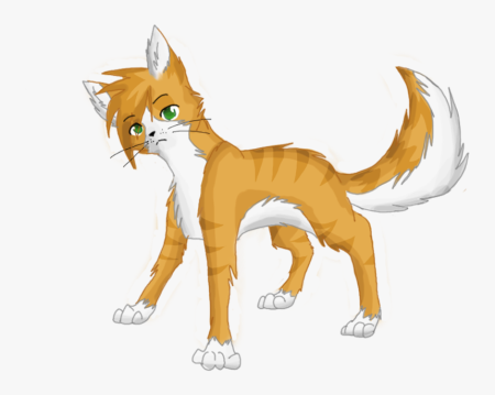 Коты Воители аниме