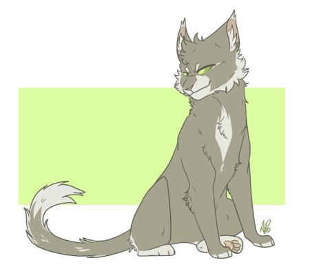 Аниме коты Воители референсы