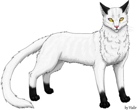 Коты Воители Чернозвезд