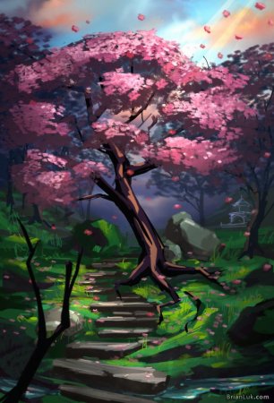 Сакура референс дерево