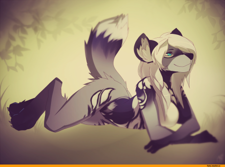 Наброски для рисования фурри