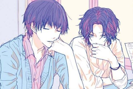 Аниме 2 парня