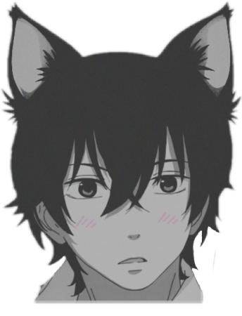 Неко мальчик