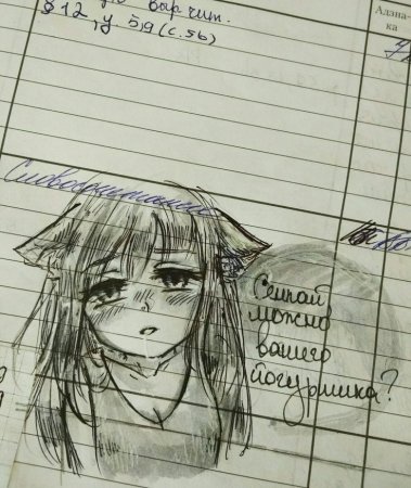 Дневник с аниме для школы