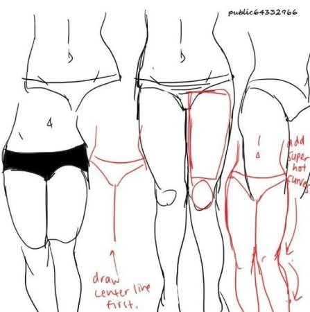 Туториалы по рисованию женского тела